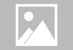 菠萝菠萝蜜视频,揭秘热带水果的神奇魅力