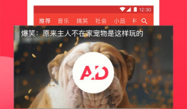 西瓜视频极速版,轻松畅享短视频，开启高效娱乐新体验